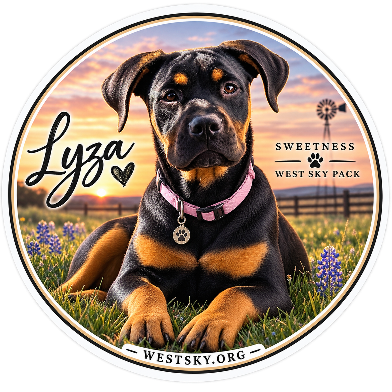 Lyza sticker — Rottweiler puppy in bluebonnet field at sunset, Sweetness West Sky Pack