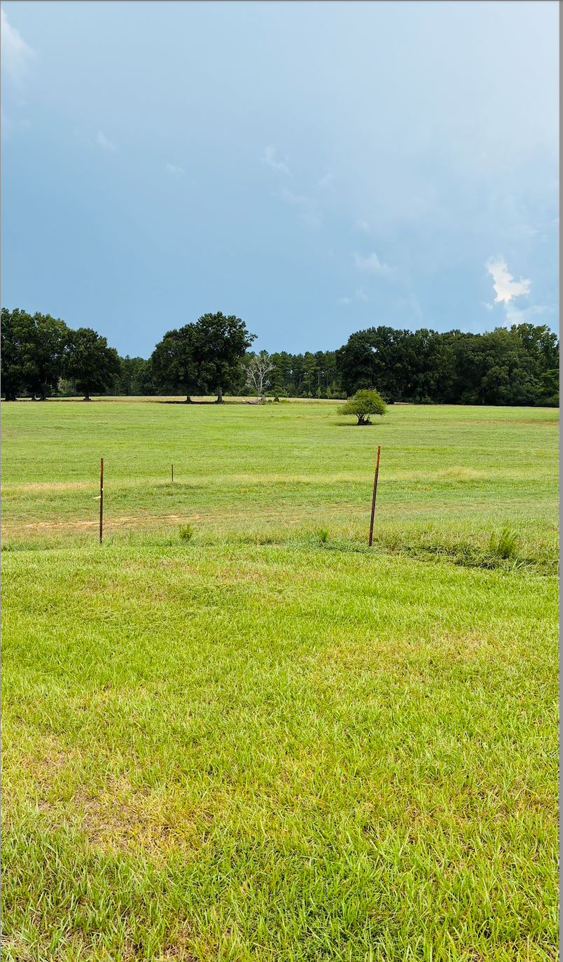 Open grassy pasture on the West Sky family farm beneath a blue sky