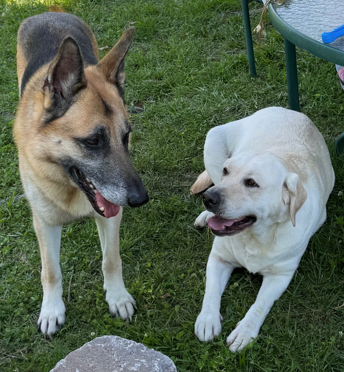 Mia and Maggie at the screen door